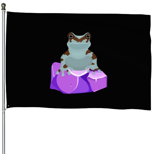 Frog Crystal Amethyst Gemstone For Toad Owners House Flags