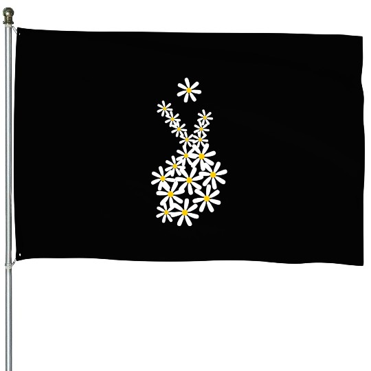 Daisy Kpop Korean Pop Music K-pop House Flags