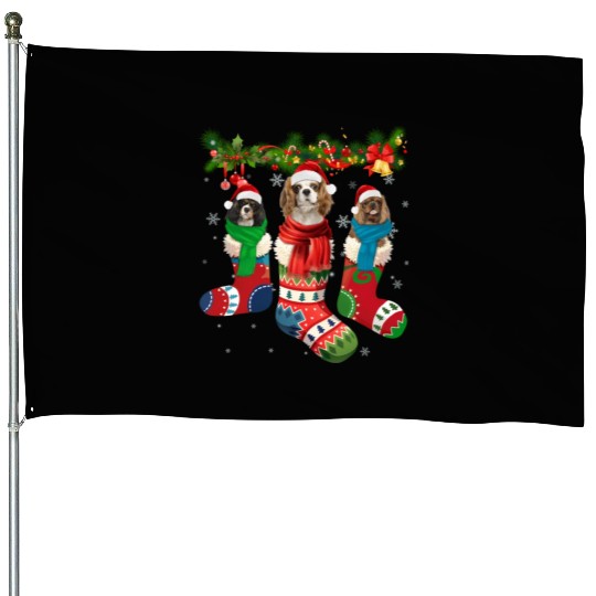 Three Cavalier King Charles Spaniel In Sock House Flags