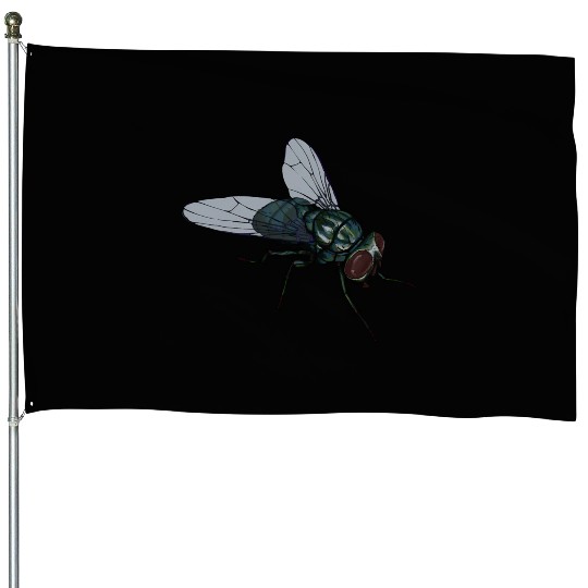 Fly Common House Fly Insect House Flags