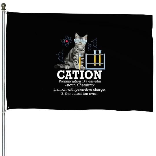 Cation Chemistry Humor Science Teacher Cat Pun House Flags
