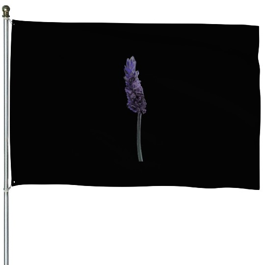 Lavender Flower Illustration House Flags