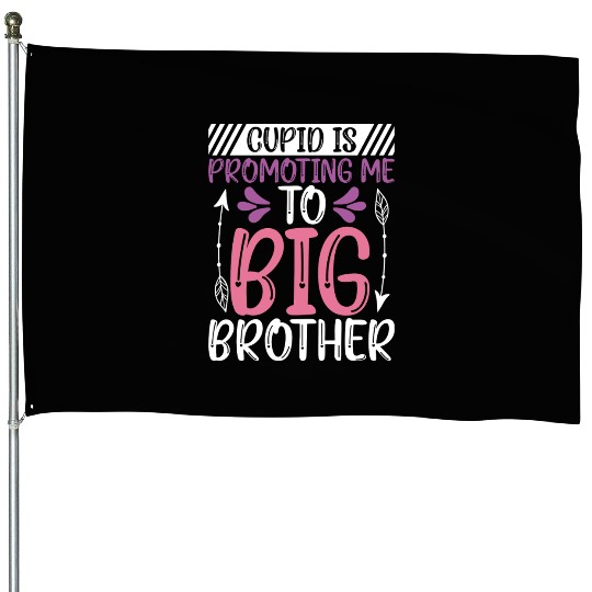 Valentine Pregnancy Announcement Big Brother Cupid House Flags