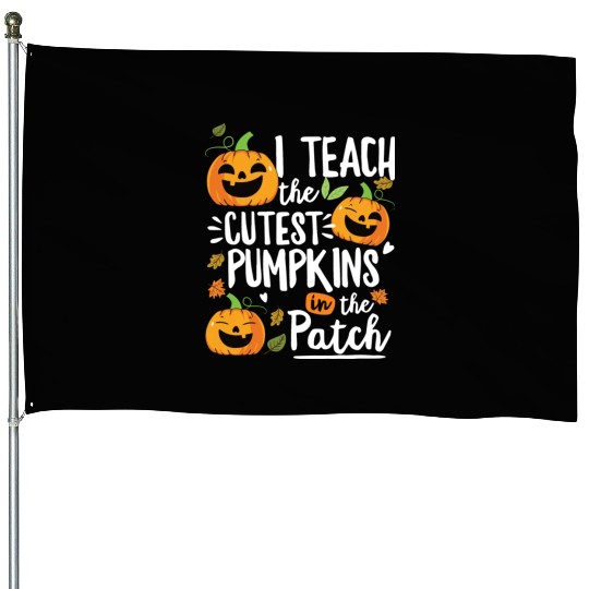 Teacher Halloween Pre K Teacher Kindergarten House Flags