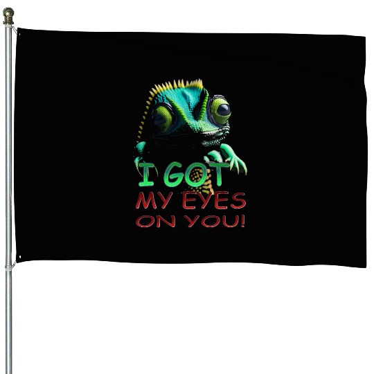 I GOT MY EYES ON YOU House Flags