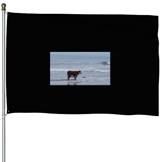 I May Be Stupid House Flags