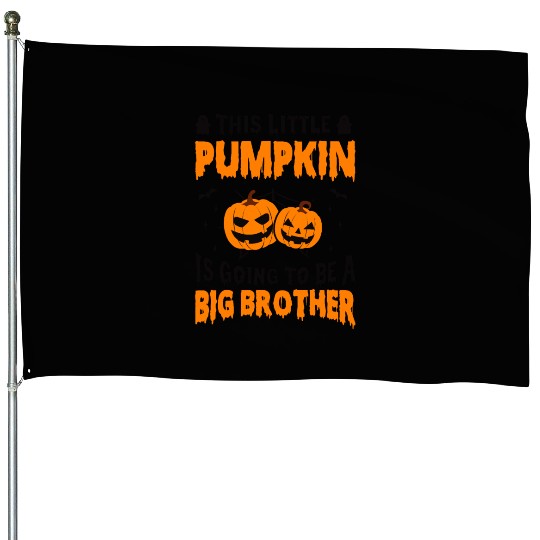 This Little Pumpkin Is Going To Be A Big Brother House Flags