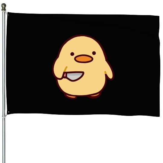 Funny Goofy Ahh House Flags