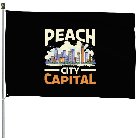 Atlanta City Georgia USA America United States House Flags