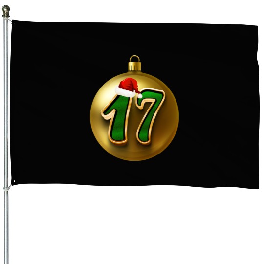 17 Years Young - Seventeen Christmas Balls House Flags