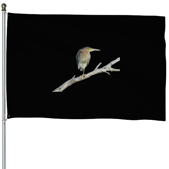 Green Heron House Flags