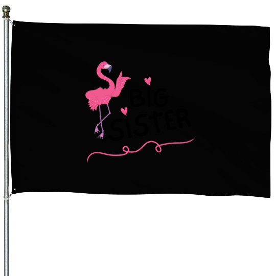 Big Sister Little Brother Matching Outfits Toddler House Flags