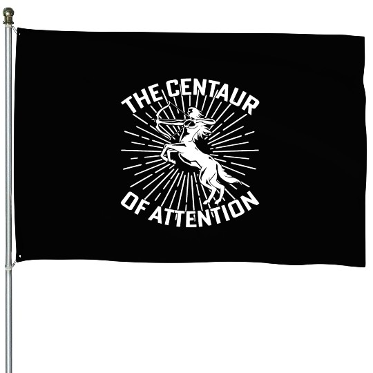 Centaur of Attention History Teacher House Flags