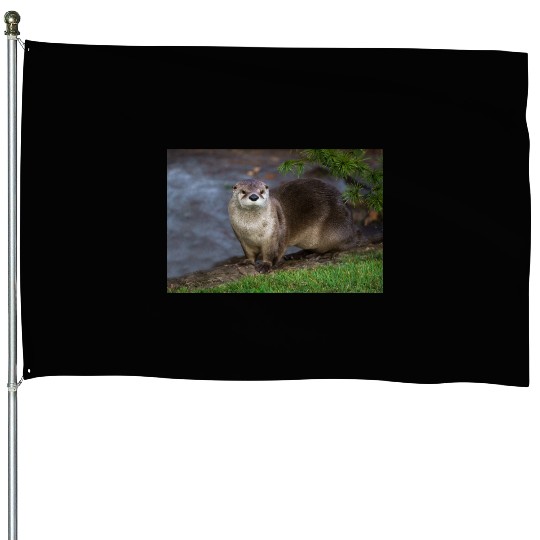 Adorable Otter on the Riverbank House Flags