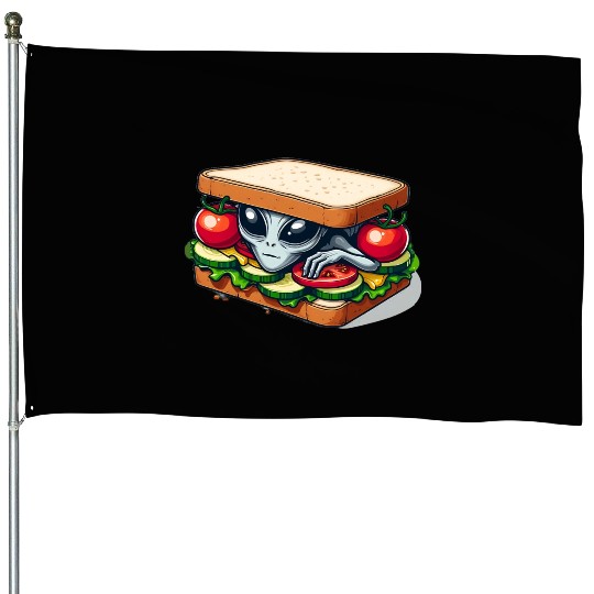 Alien Hiding in a Sandwich House Flags