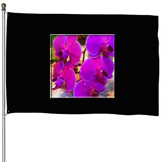 Orchid 4 House Flags