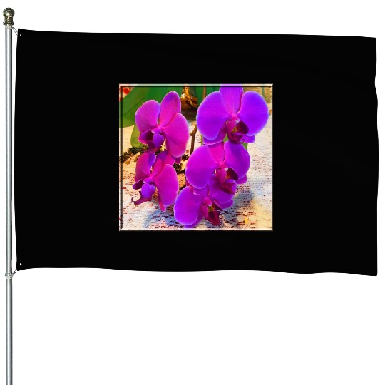 Orchid 3 House Flags