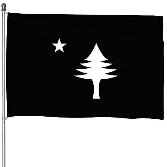 Pine tree and star 1901 flag of Maine State House Flags