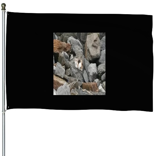 Camouflage Cat On Rocks Gifts for Animal Lovers House Flags