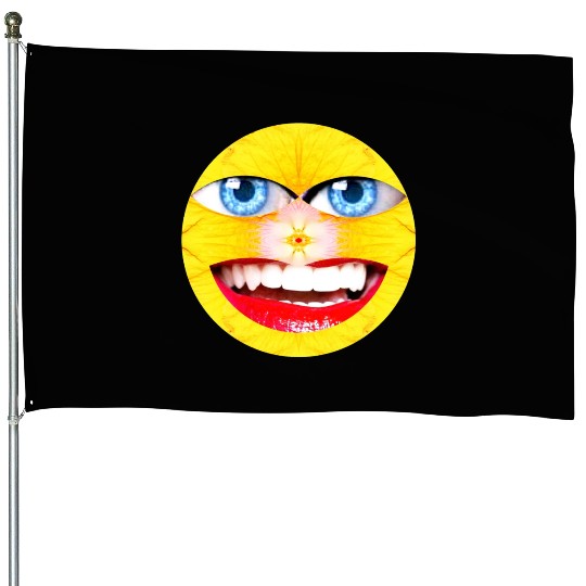 Smile Face Have a Nice Day Promote Happiness Joy House Flags