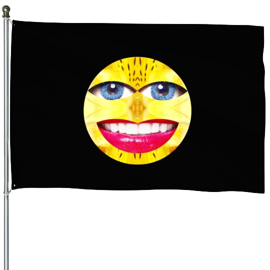 Smile Face Have a Nice Day Promote Happiness Joy House Flags