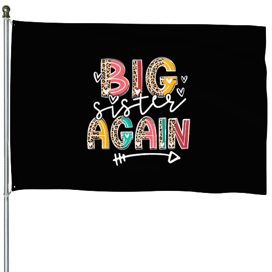 Big Sister Again Soon To Be Sis Announcement House Flags