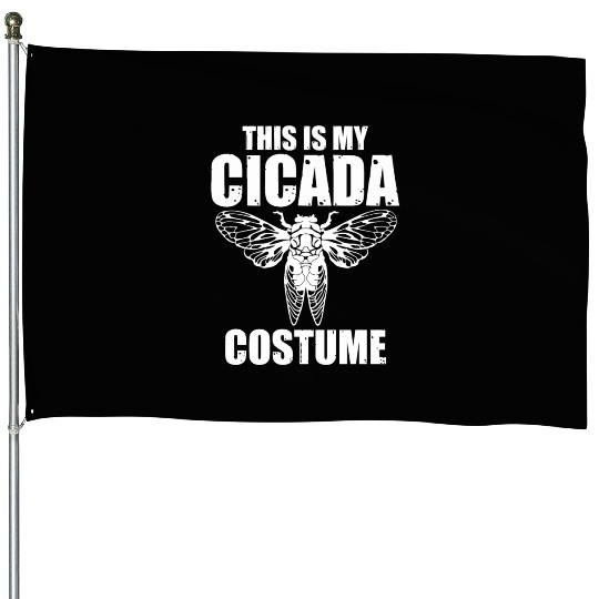 This Is My Cicada Costume, Funny Cicada Invasion House Flags