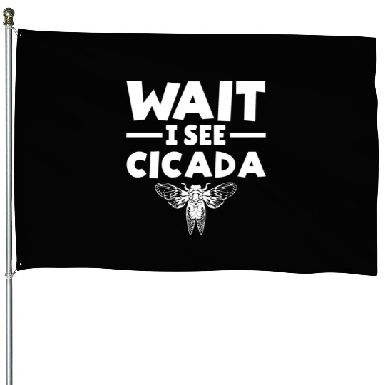 Wait I See Cicada, Funny Colorful Cicada Spring House Flags