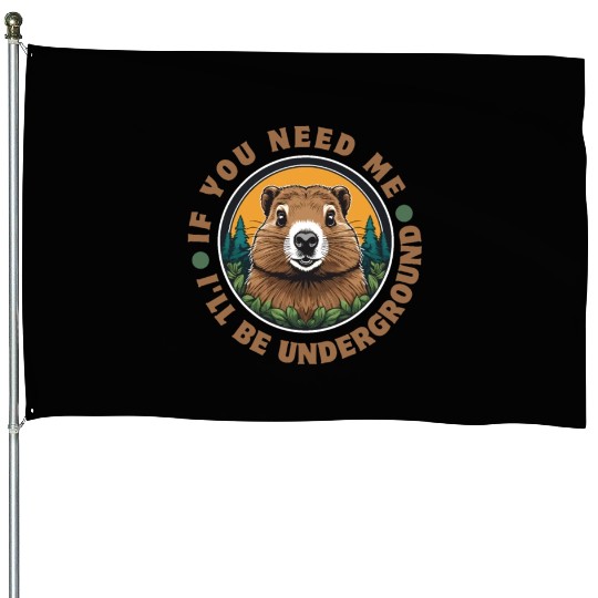 Groundhog House Flags