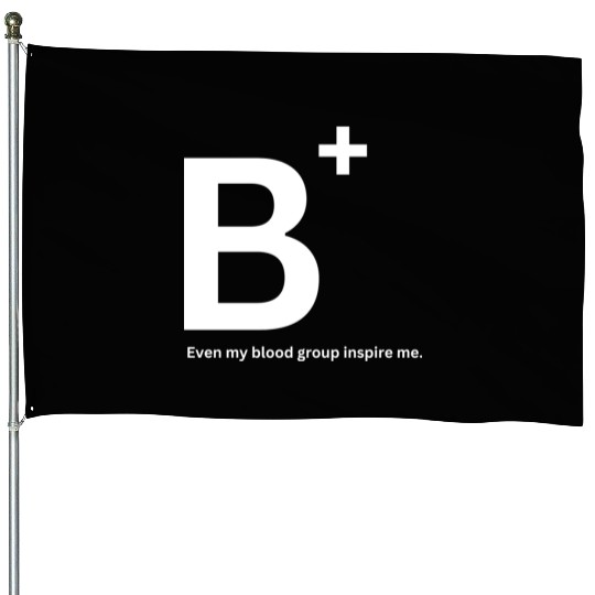 Be Positive House Flags
