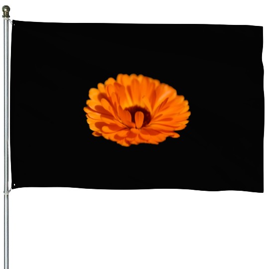 orange flower marigold House Flags