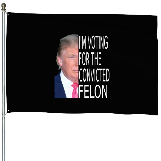 I'm Voting For The Convicted Felon Funny Pro Trump House Flags