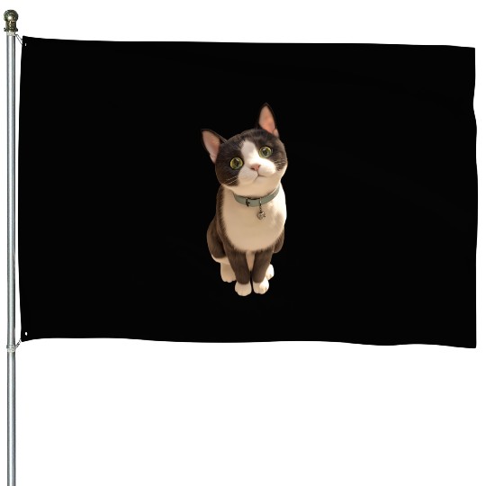 Cute kittens House Flags