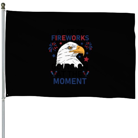 Funny 4Th Of July 2025 A Lot of Fireworks Going on House Flags