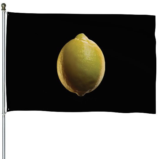 Lemon Realistic House Flags