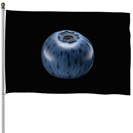 Blueberry Realistic House Flags