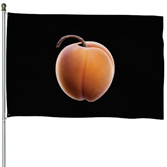 Apricot Realistic House Flags