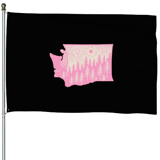 Washington DC Wild Outline State House Flags