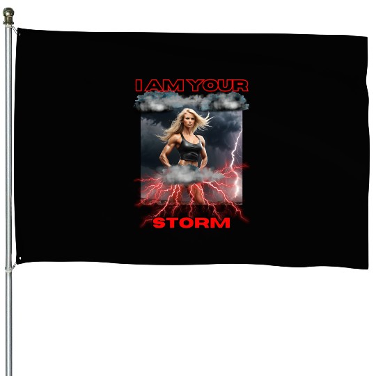 Storm , gym design . Option 2 House Flags