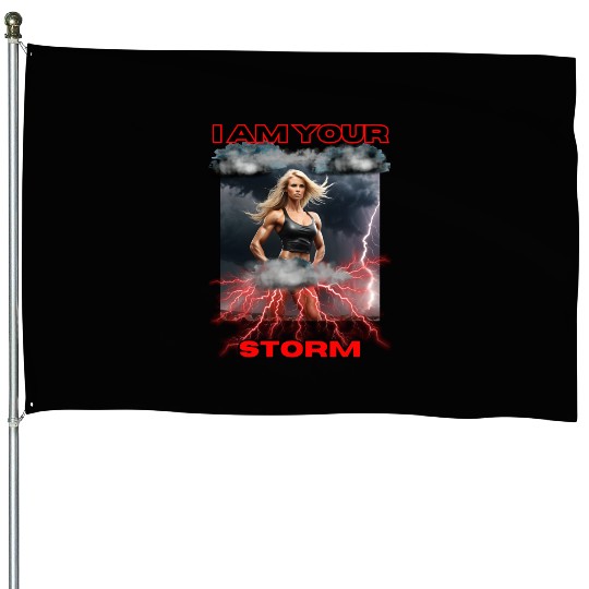 Storm , gym design . Option 2 House Flags