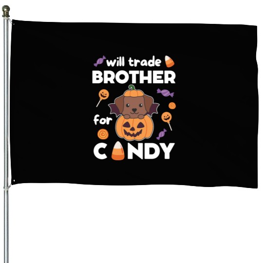 Labrador Halloween Trade Brother For Candy House Flags