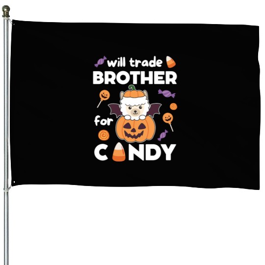 Alpaca Halloween Trade Brother For Candy House Flags