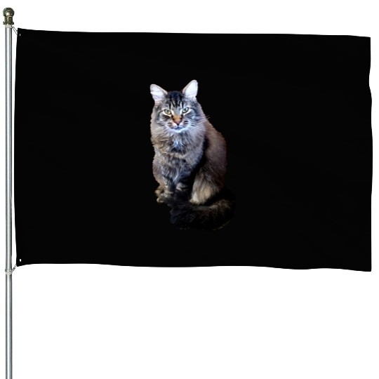 Indie the Cute Cat House Flags