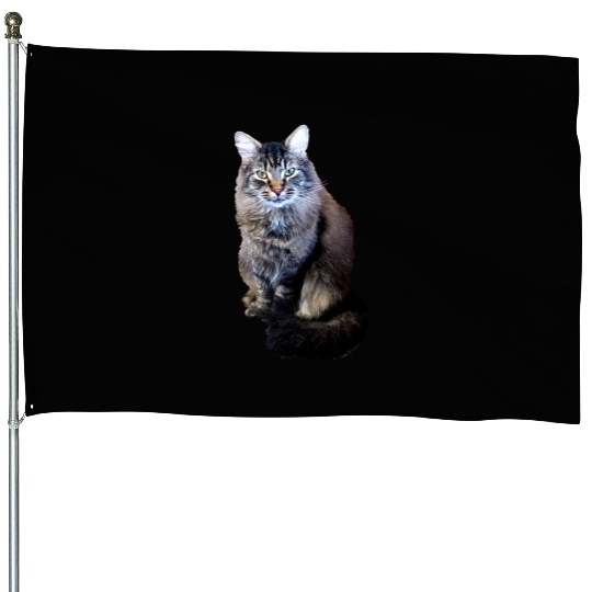 Indie the Cute Cat House Flags