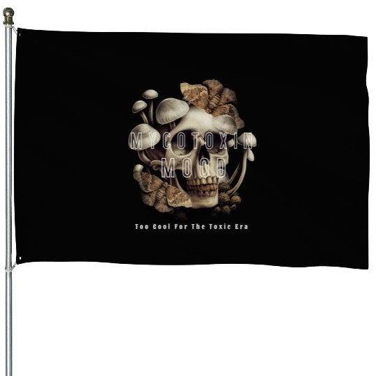 Too Cool For The Toxic Era Funny gift House Flags