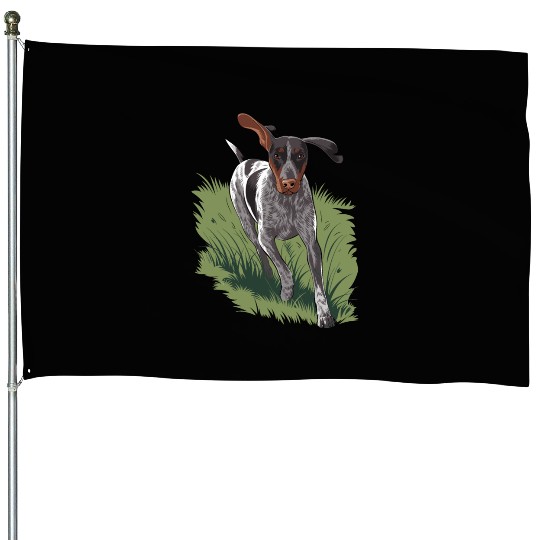 German Shorthaired Pointer Running In Field House Flags