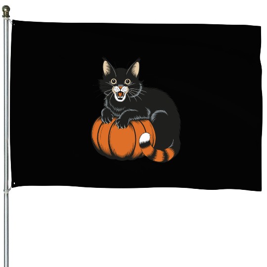Surprised Halloween Cat With Pumpkin Vintage Style House Flags