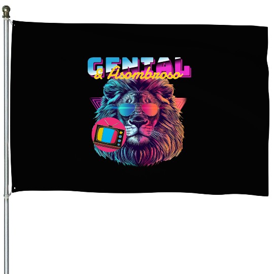 Clever "Genial & Asombroso" – Safety with a Smile House Flags