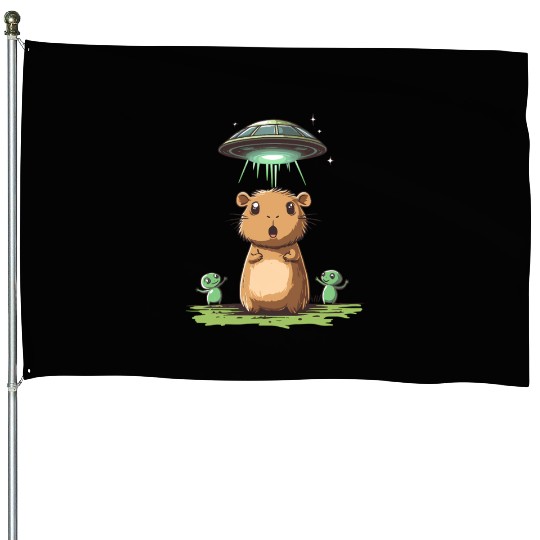 Funny Graphic House Flags Capybara Selfie With Ufos Weird