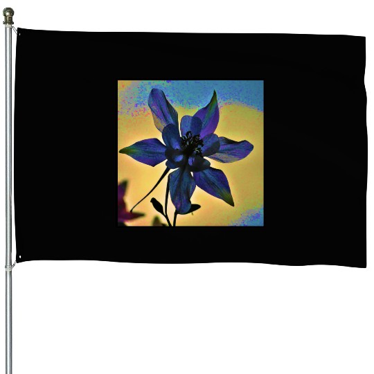 Columbine Color House Flags